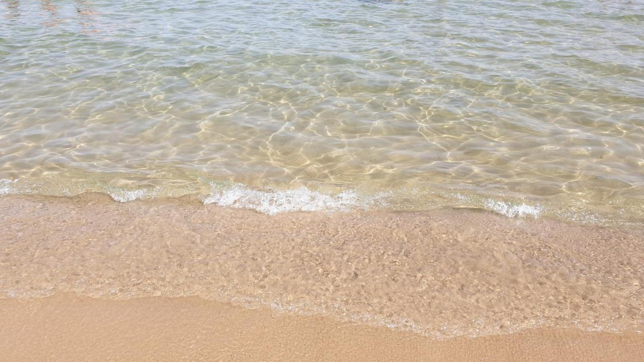 알카모 Alla Palma 아파트 외부 사진
